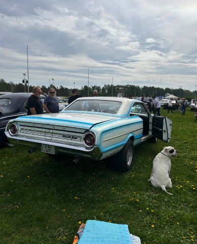 Sola springmeet #9 – bild 14 av 15 (Norra Infarten, 23 maj 2026) USA-bilar på Jalopy