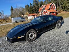 Chevrolet 1979 Corvette -85 Targa glastak  till salu i Enköping – bild 2 av 8