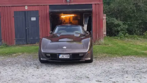 Chevrolet 1978 Säljes  till salu i Söderbärke – bild 3 av 8