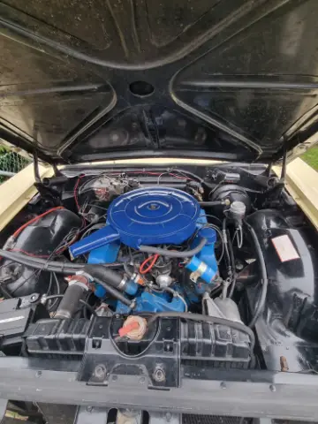 Ford 1965 Ford Ranch wagon 1965 till salu i Vårgårda – bild 7 av 8