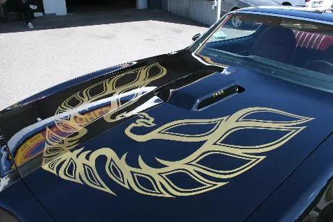 Pontiac 1978 Pontiac Trans Am "Bandit" * AMERICAN DAYS * till salu i Nybro – bild 2 av 8
