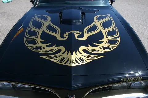 Pontiac 1978 Pontiac Trans Am "Bandit" * AMERICAN DAYS * till salu i Nybro – bild 8 av 8