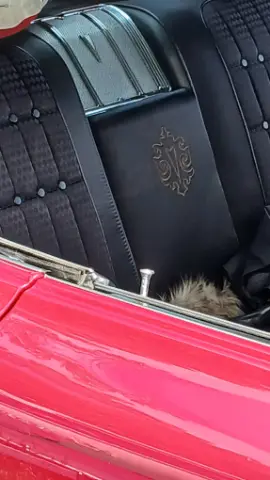 Pontiac 1966 Pontiac Bonniville till salu i Norrköping – bild 3 av 4